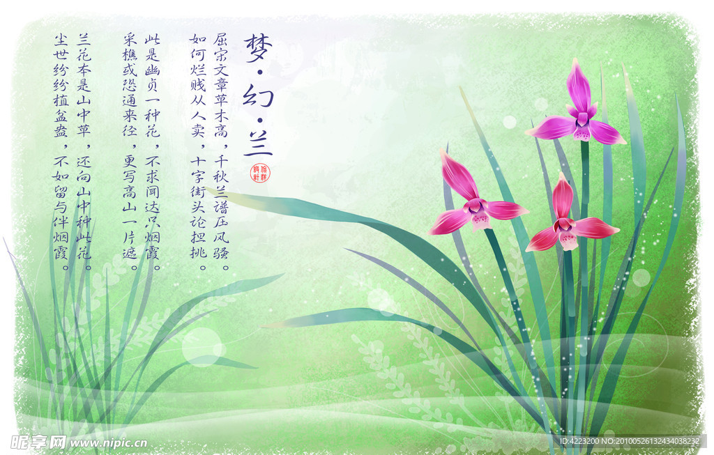 梦幻兰花