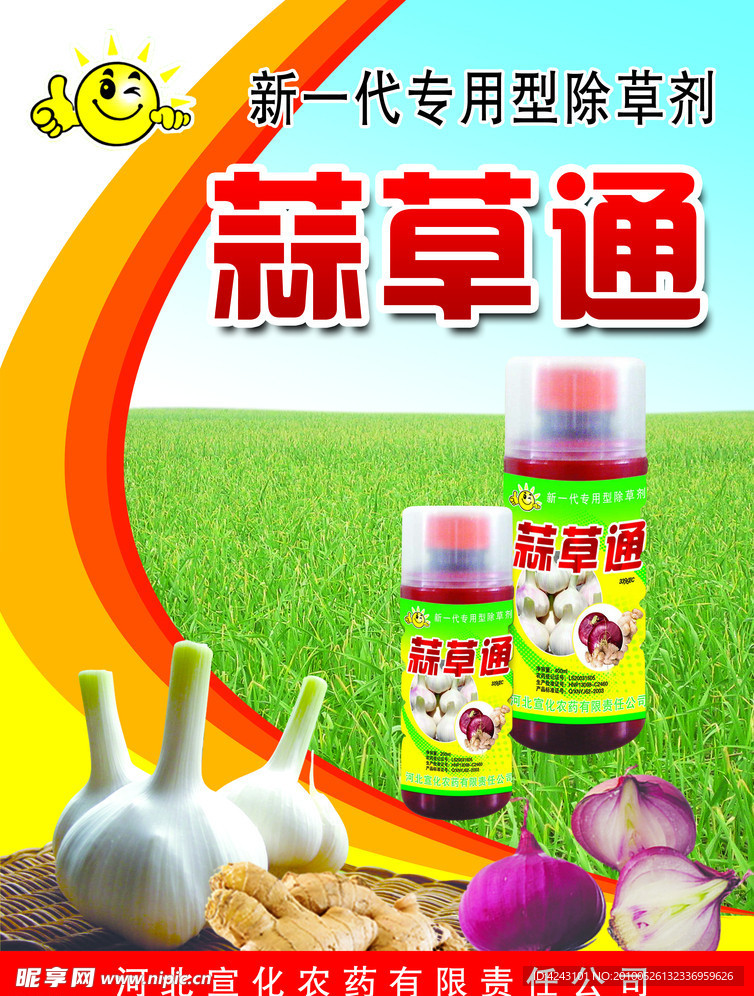 蒜草通