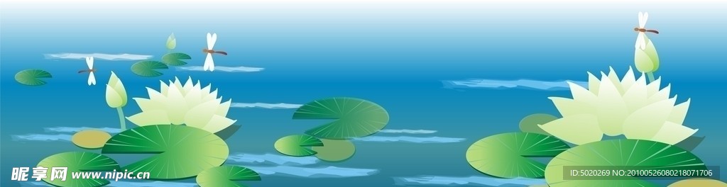 荷花 池塘