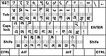 藏文字根