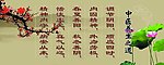 中医养生之道