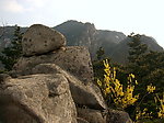 山景