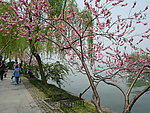 风景