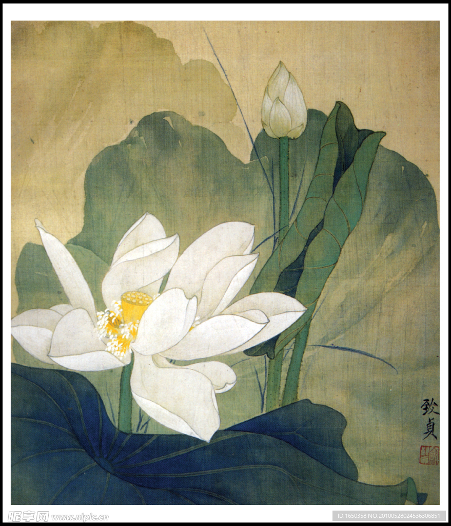 俞致贞 白荷