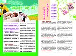 保险公司企业内部宣传杂志健康快讯之养生保健
