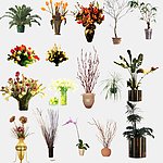 室内植物盆栽