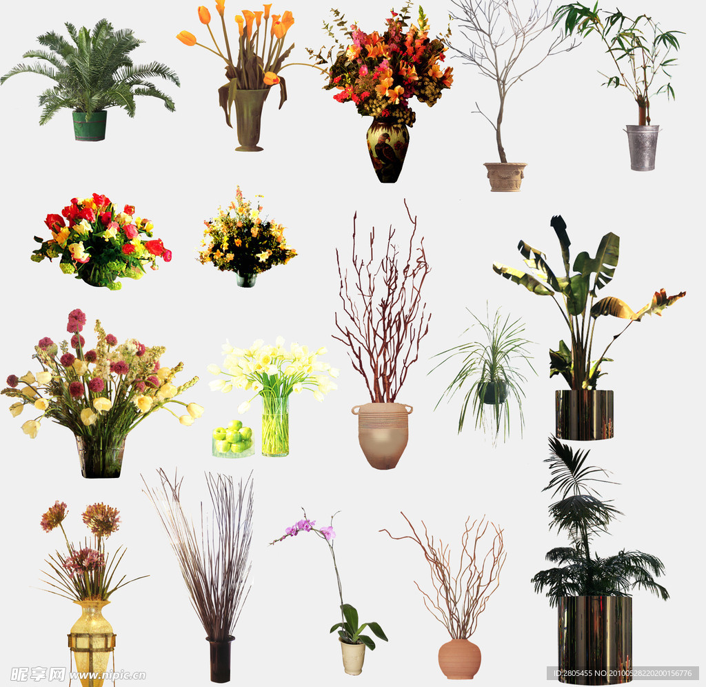 室内植物盆栽