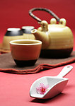 饮茶 泡茶 禅风茶趣