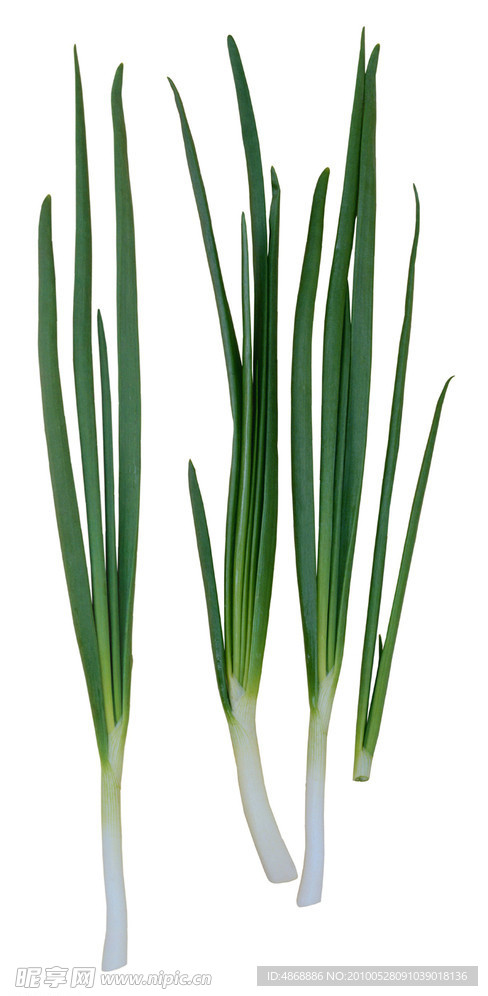 蔬菜