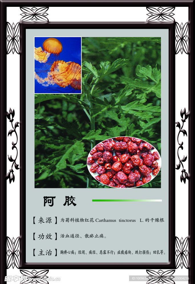 阿胶
