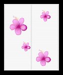 杜鹃花