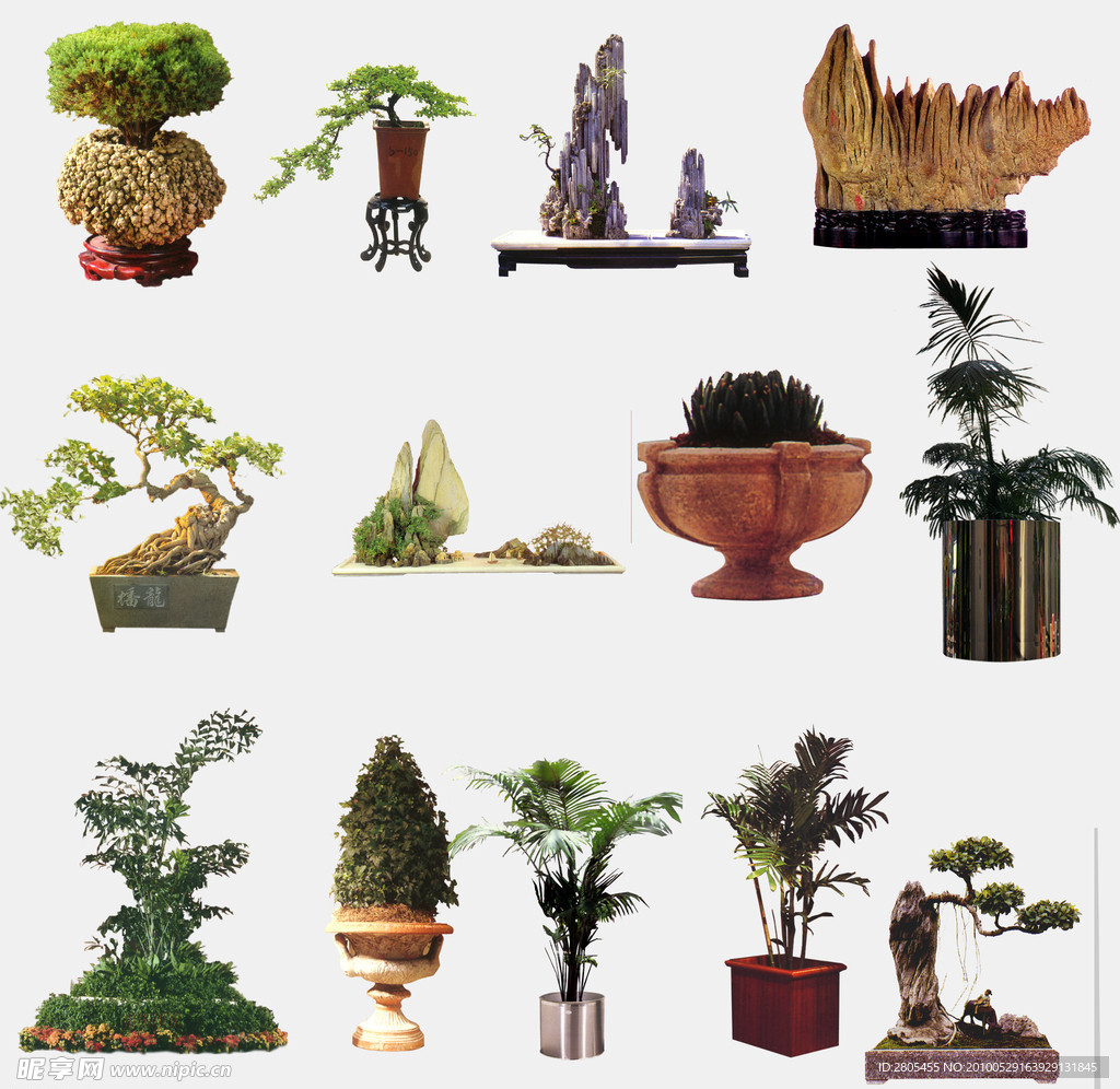 植物盆景