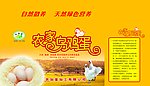 农家乌鸡蛋