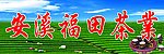 安溪茶业
