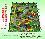绿化效果图