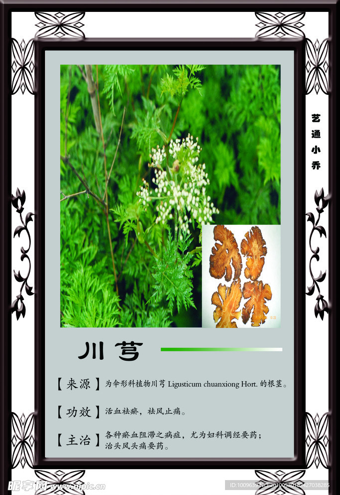 川芎