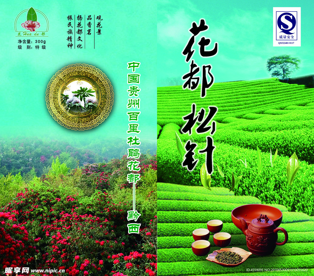 海报