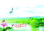 美丽夏日