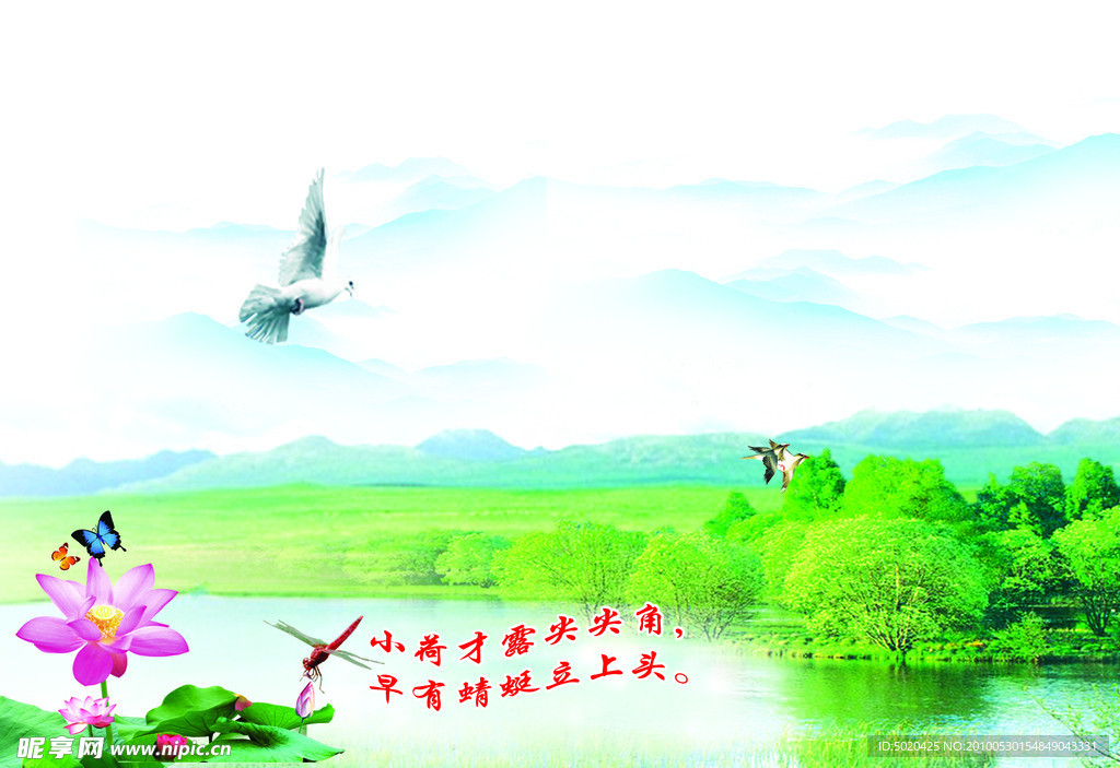美丽夏日