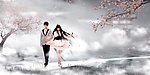 婚纱样片化蝶
