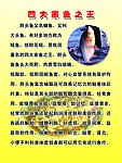 鱼板面