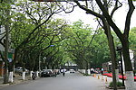 苏州大公园门口