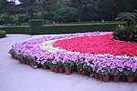 苏州公园鲜花