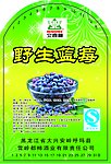 蓝莓标