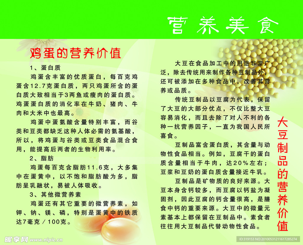 健康 健康教育 营养美食