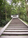 虎跑泉梦梯