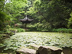 虎跑亭台