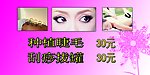 种睫毛 刮痧 拔罐 门贴 小花