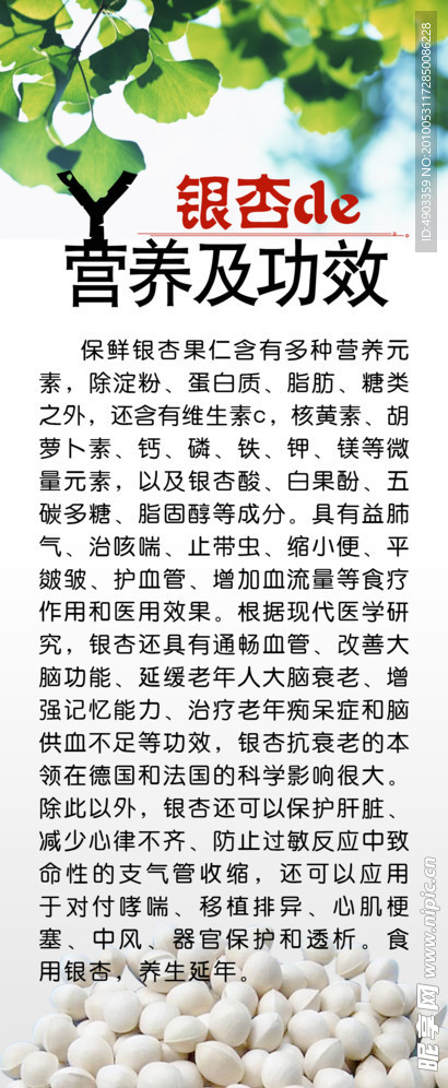 银杏