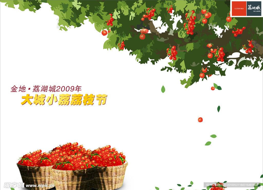 荔枝节背板