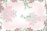 美丽心情