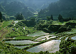 田园山水