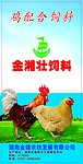 鸡饲料