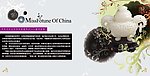 财富小姐招商手册