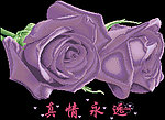 十字绣源文件 真情永远(紫） 图纸
