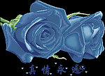 十字绣源文件 真情永远(蓝） 图纸