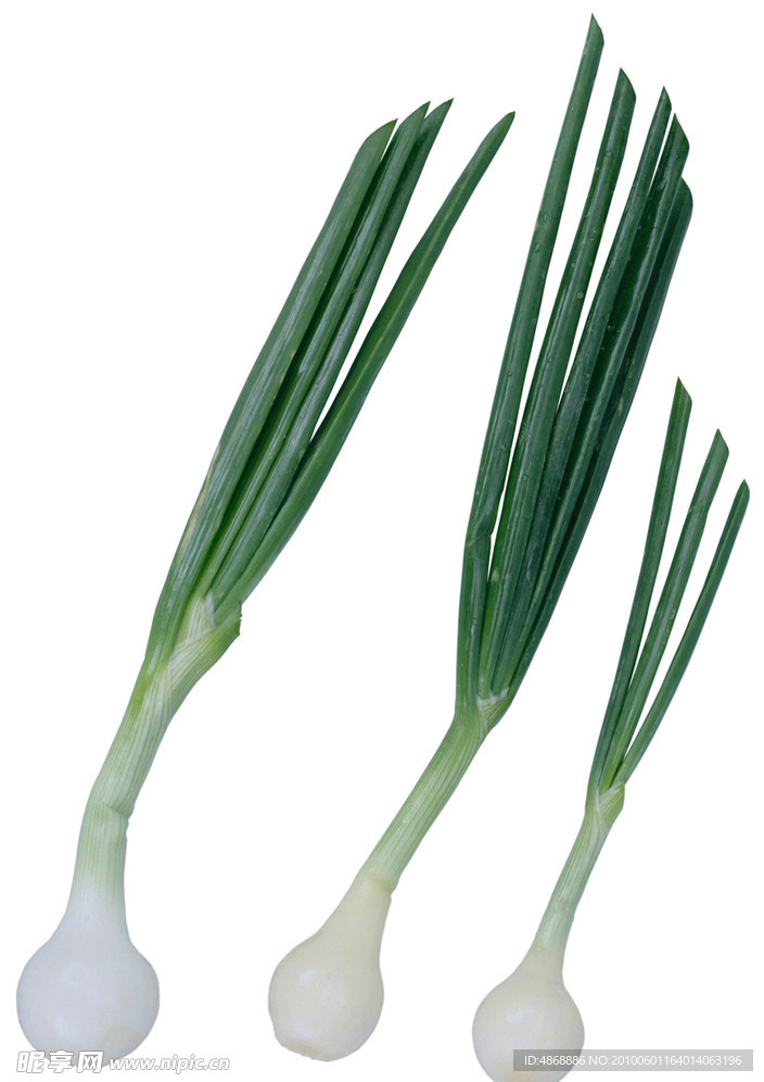 蔬菜