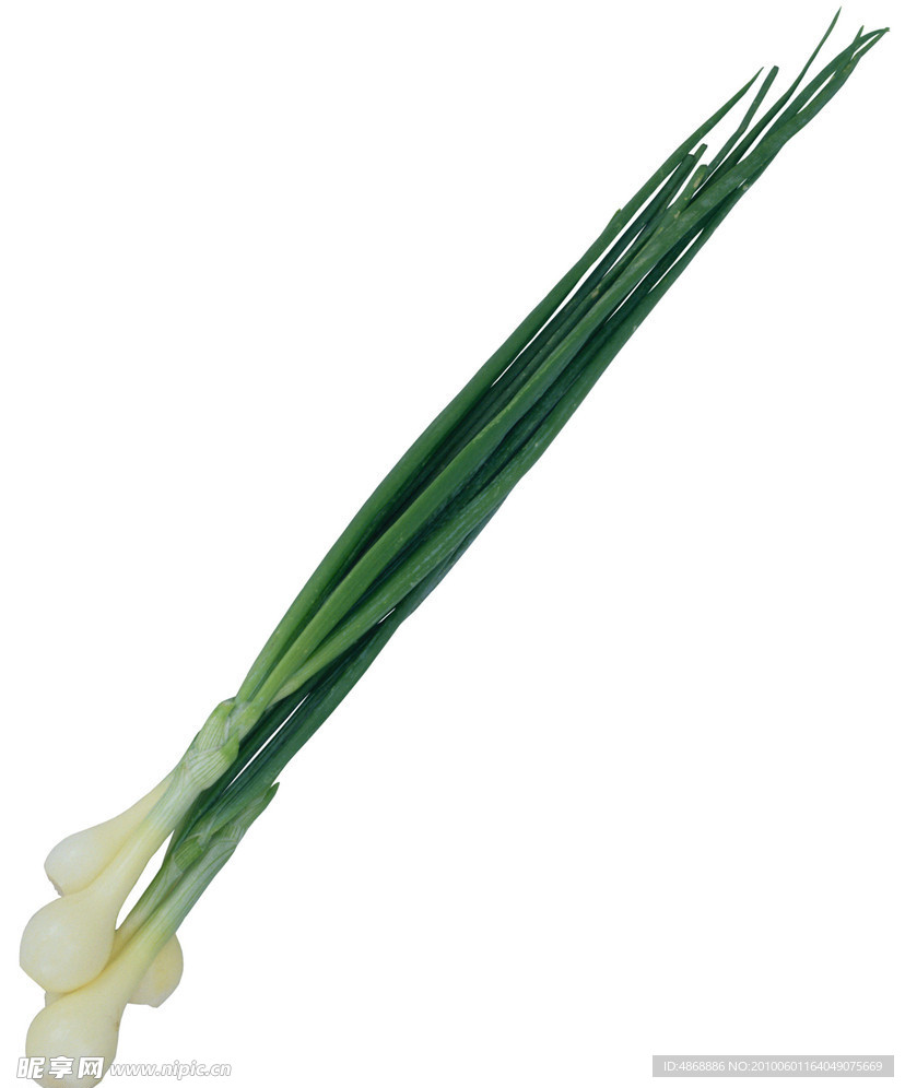 蔬菜