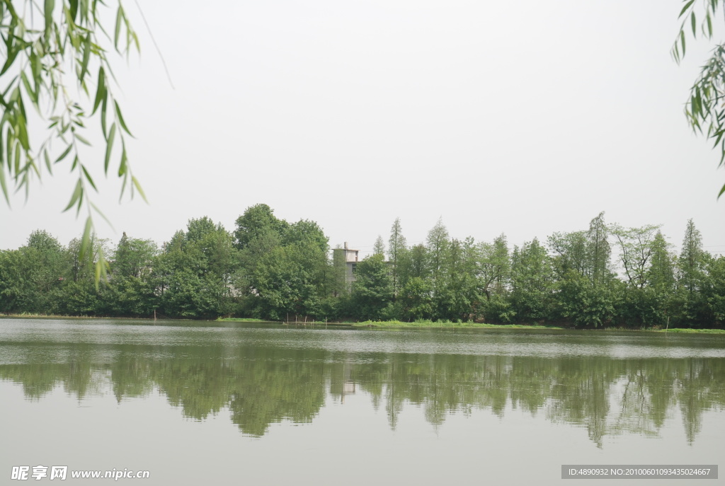 风景 湖 柳叶 公园 水 绿色 清新 倒影 清凉 春 夏