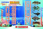 海鲜宣传单