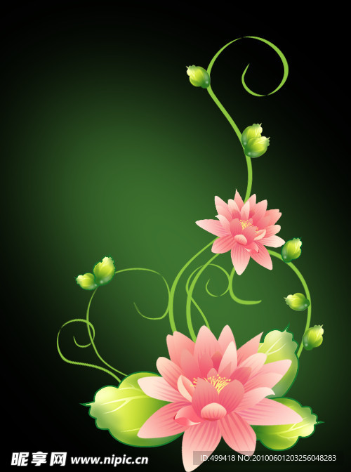 美丽的花
