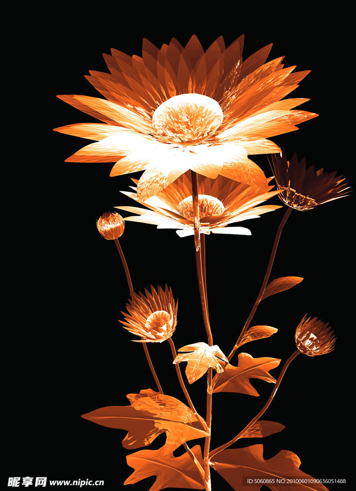 枯花