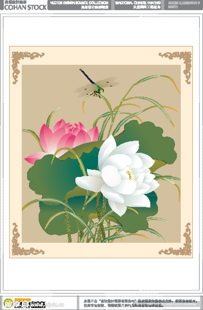 荷花