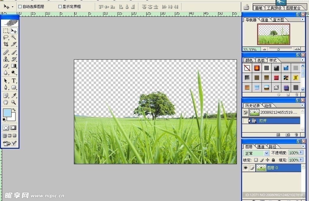 草坪A