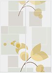 花纹