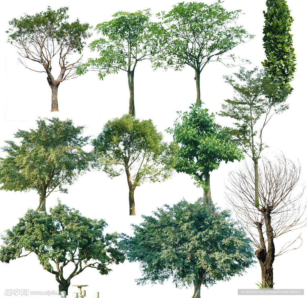 树木PSD素材